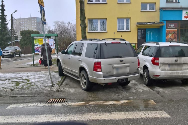 Mistrzowie parkowania - Krosno - 165