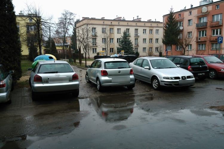 Mistrzowie parkowania - Krosno - 207