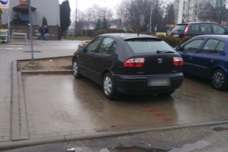 Mistrzowie parkowania - Krosno - 216