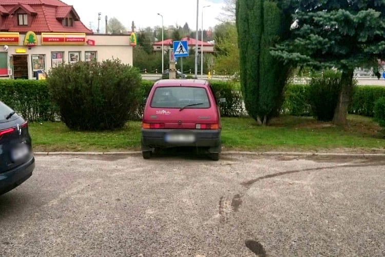 Mistrzowie parkowania - Krosno - 236