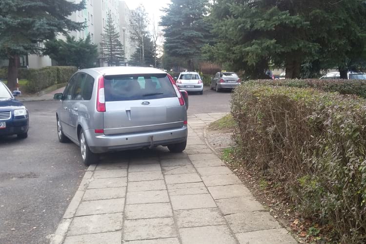 Mistrzowie Parkowania - Krosno - 367