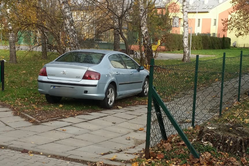 Mistrzowie Parkowania - Krosno - 458