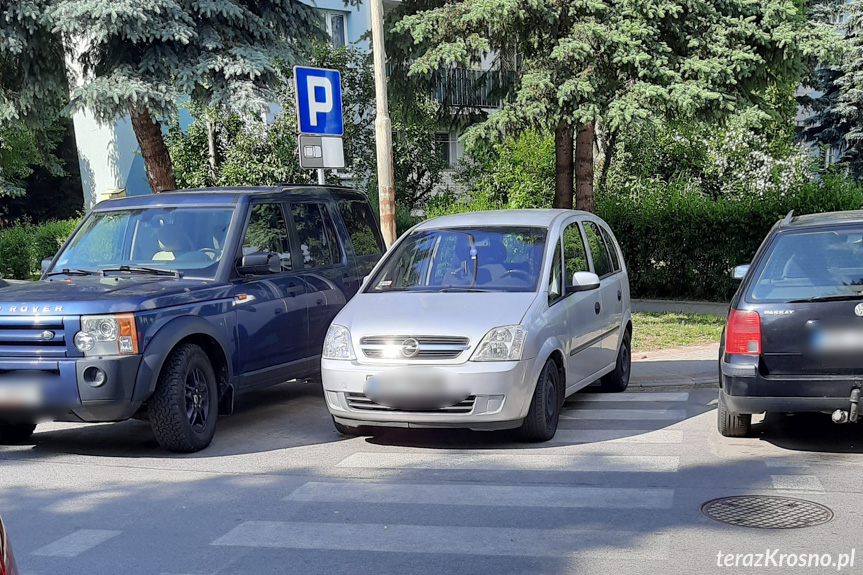 Mistrzowie Parkowania - Krosno - 493
