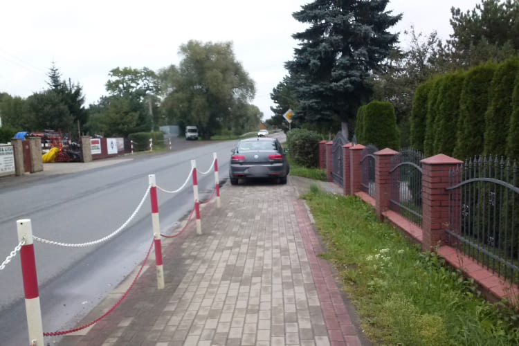 Mistrzowie Parkowania - Świerzowa Polska - 301