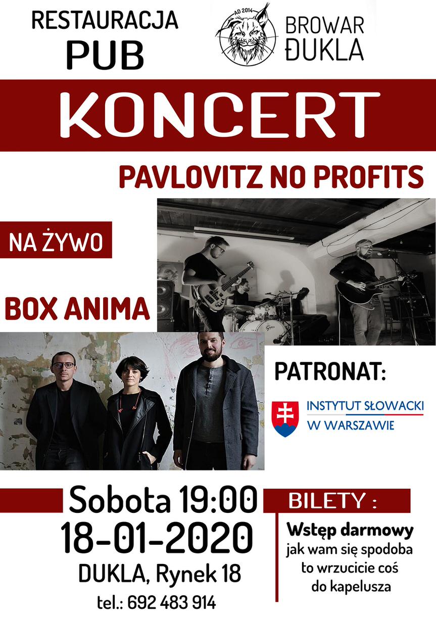 Pavlovitz No Profits - Box Anima - koncert