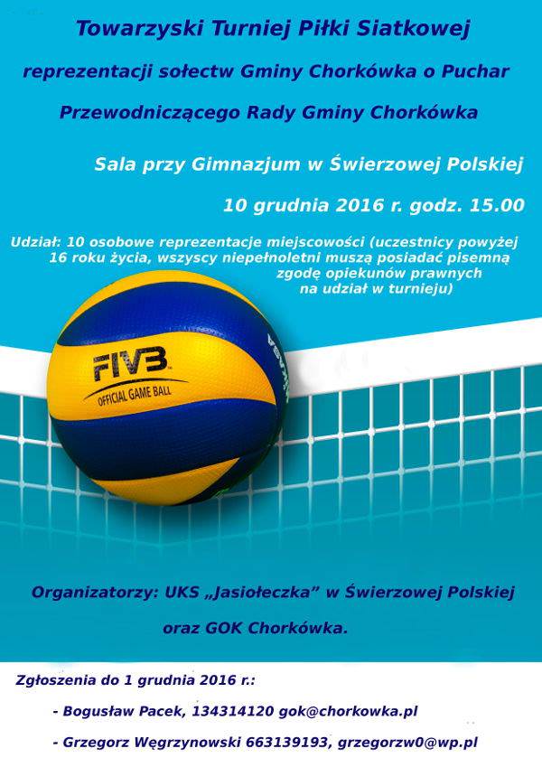 Towarzyski Turniej Piłki Siatkowej w Świerzowej Polskiej