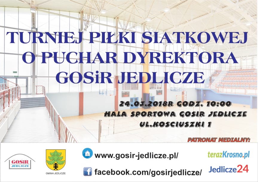 Turniej Piłki Siatkowej o Puchar Dyrektora GOSiR Jedlicze