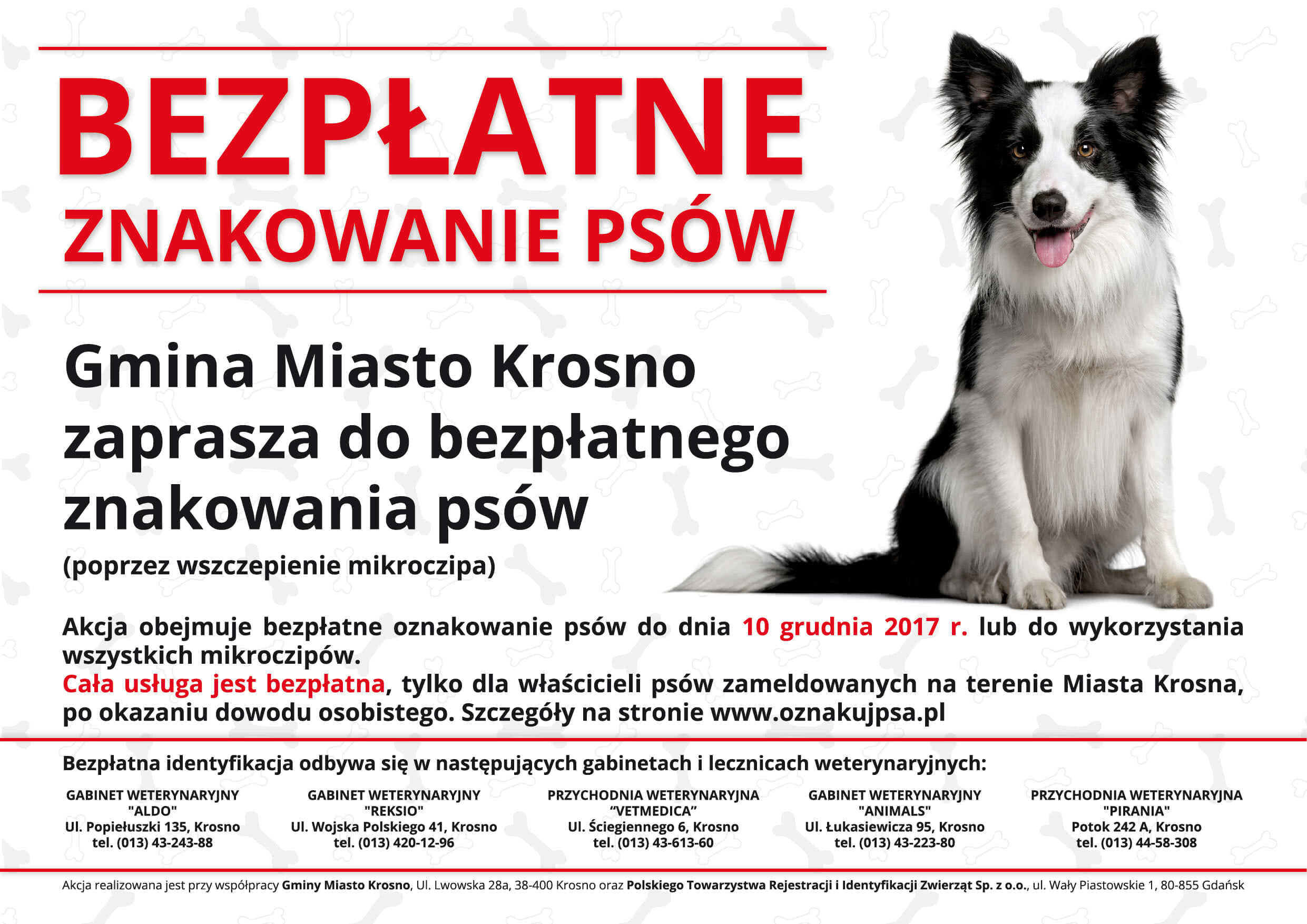 Bezpłatne znakowanie psów w Krośnie