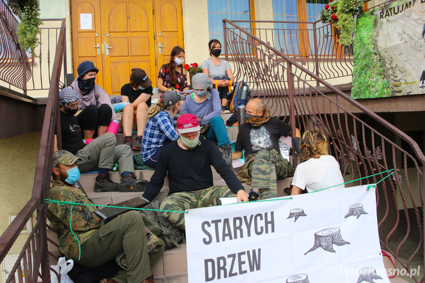 Aktywiści na schodach RDLP w Krośnie
