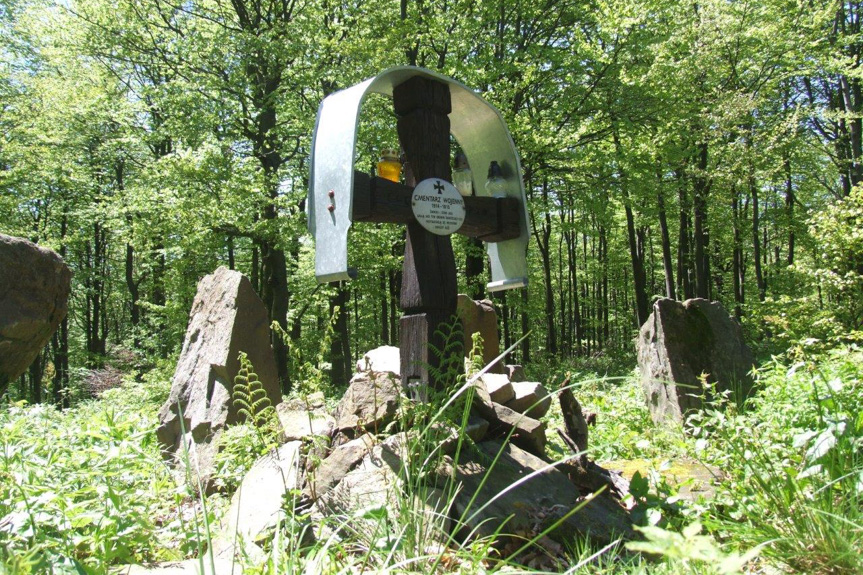 Cmentarz z I wojny światowej na Chryszczatej