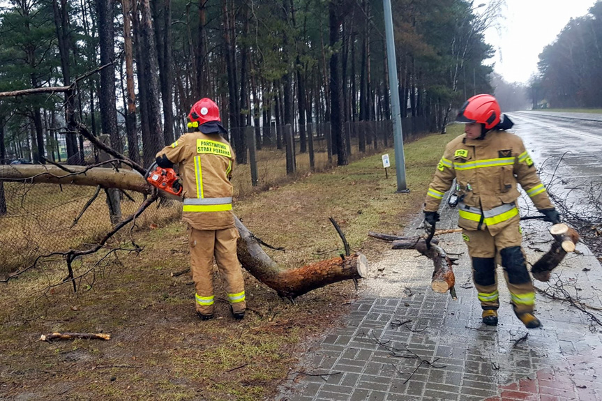 Powalone drzewo usuwają strażacy