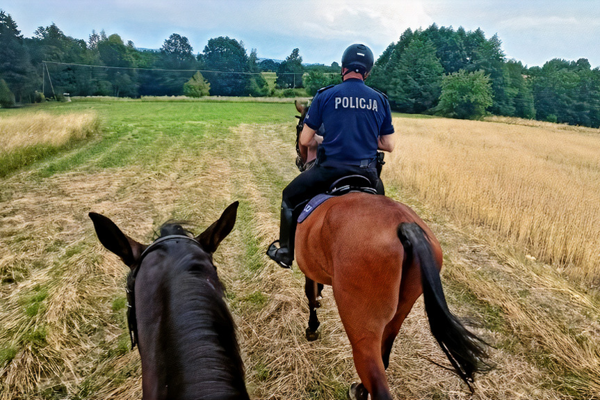 Policjanci na koniach w Krośnie