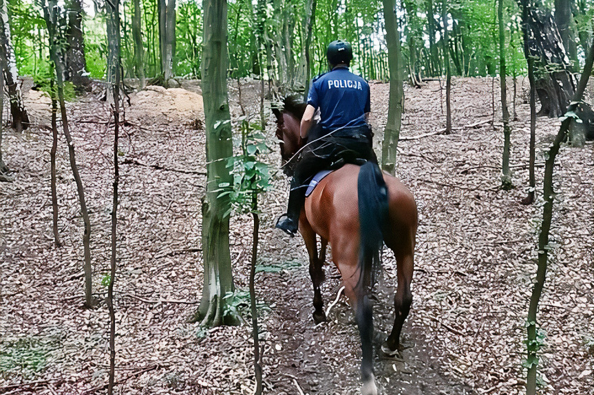 Policjanci na koniach w Krośnie
