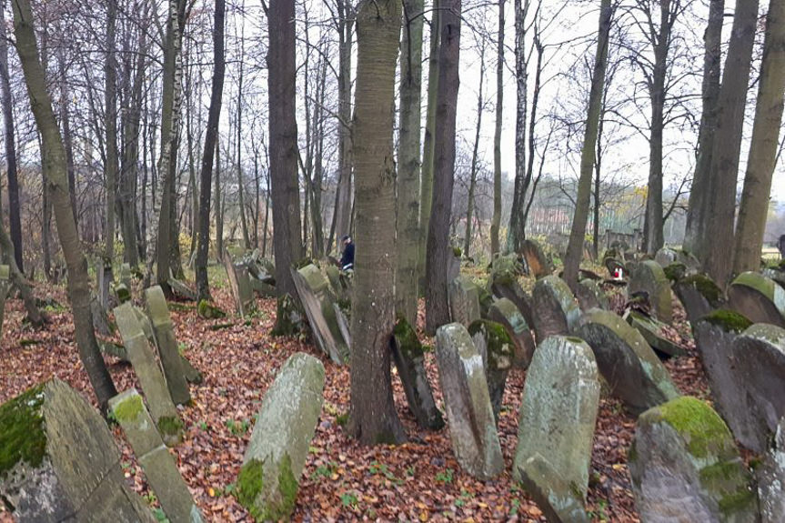 cmentarz żydowski w Korczynie