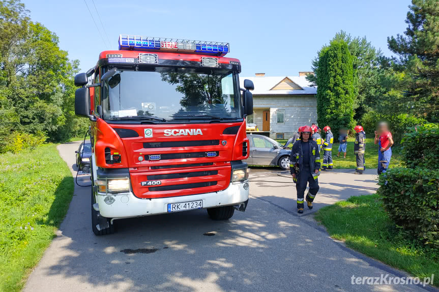 pożar samochodu w Świerzowej Polskiej