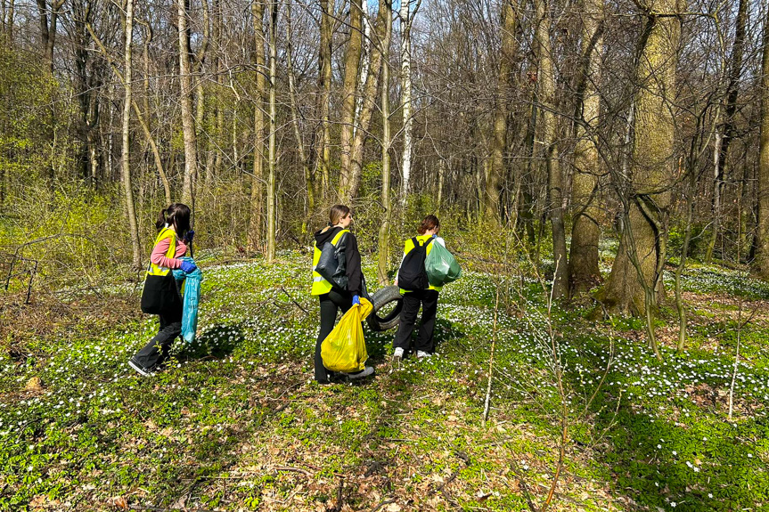 sprzątali las w Jedliczu