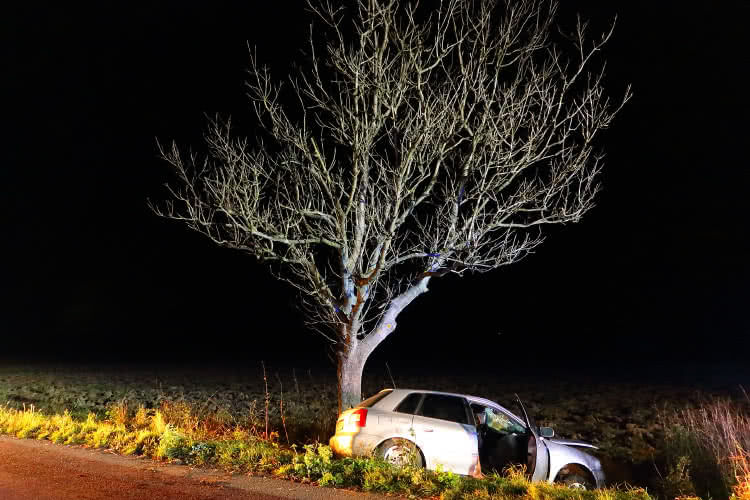 Audi uderzyło w drzewo, kierowca poszkodowany