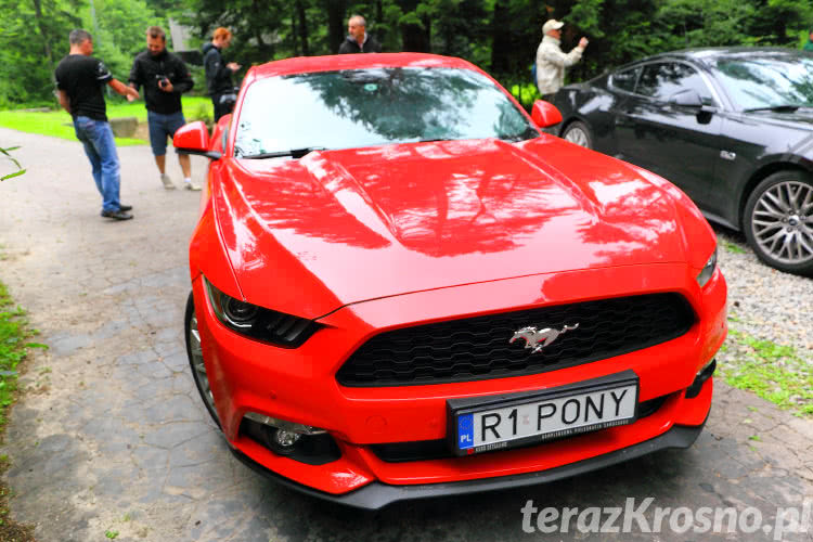 Mustangi w Bóbrce