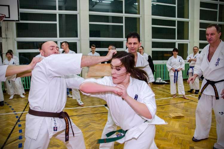 Podsumowanie startów zawodników Krośnieńskiego Klubu Kyokushin Karate
