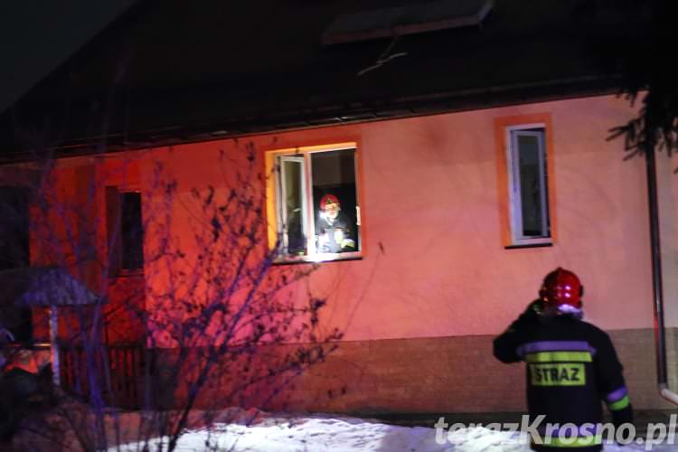 Pożar w kotłowni. Strażacy uratowali dom