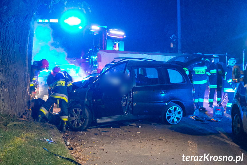 Tragiczny wypadek w Jedliczu. Kierowca roztrzaskał się o drzewo