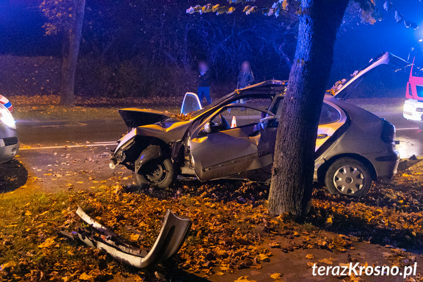 Wypadek na ul. Tysiąclecia. Samochód uderzył w drzewa