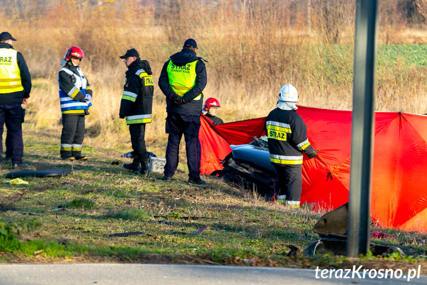Wypadek w Wiśniowej, nie żyje dwóch mężczyzn
