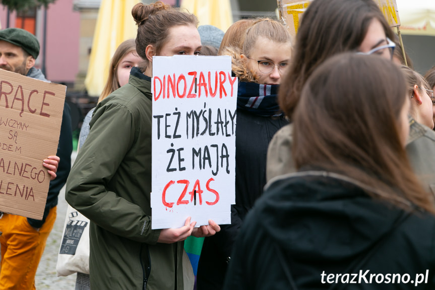 Młodzieżowy Strajk Klimatyczny w Krośnie