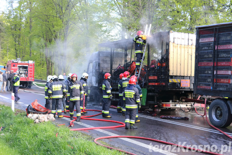 Pożar ciężarówki z drobiem w Woli Komborskiej