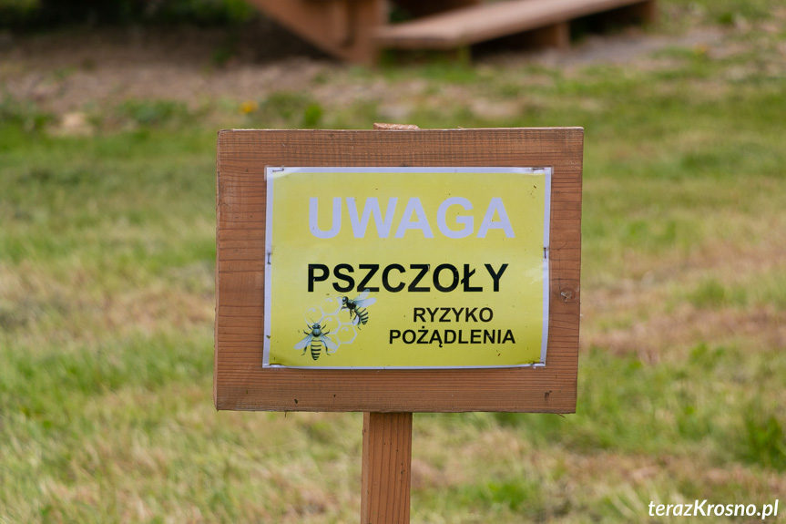 Pszczeli domek w Łączkach Jagiellońskich