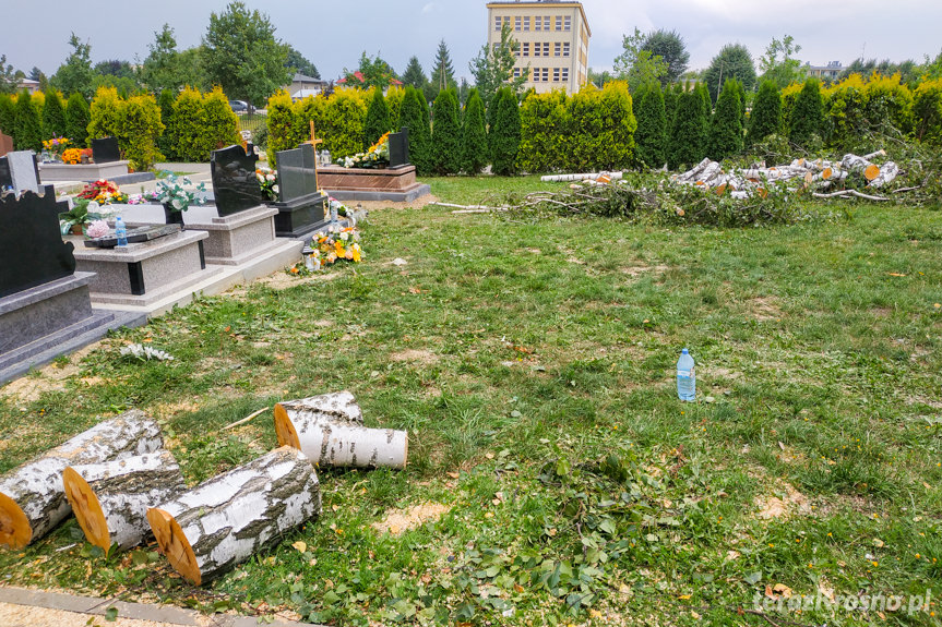 Zniszczone nagrobki na cmentarzu w Jedliczu