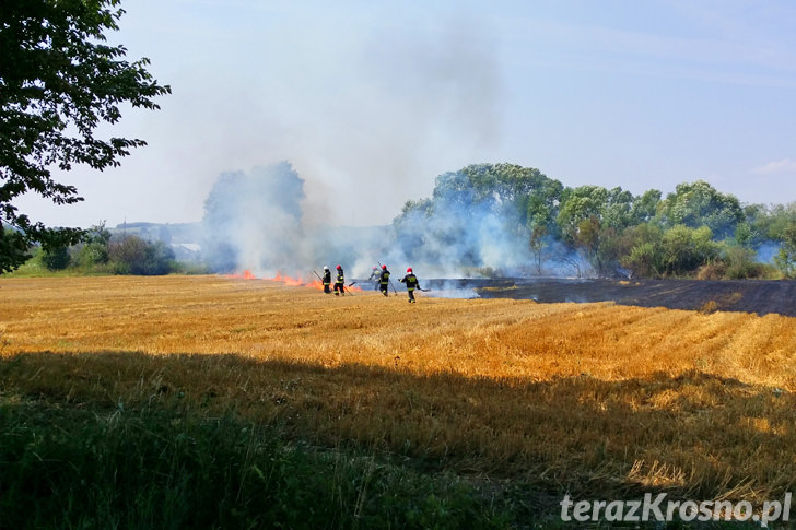 Pożar ścierniska w Świerzowej Polskiej