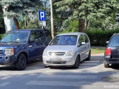 Mistrzowie Parkowania - Krosno - 493