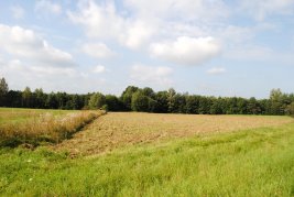 15 – arowa działka rolna w miejscowości Bykowce