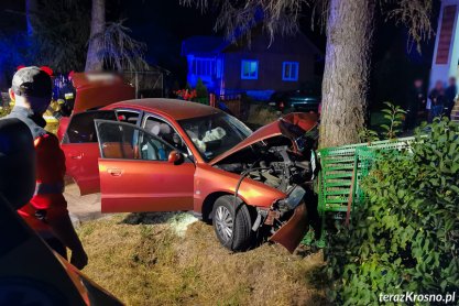 Audi roztrzaskane na drzewie w Szczepańcowej