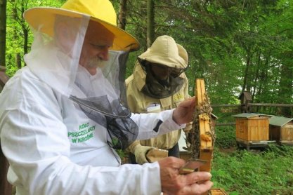 W "lesie pszczelarskim" świętowali Dzień Pszczół