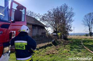 Pożar budynku z drzewem w Odrzykoniu